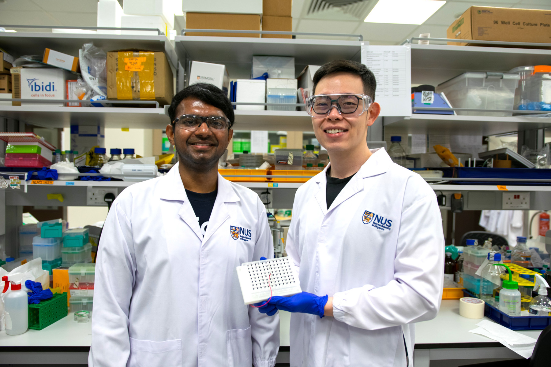 Boosting cancer treatment: NUS researchers develop efficient ‘food delivery service’ for transporting cancer-fighting genes